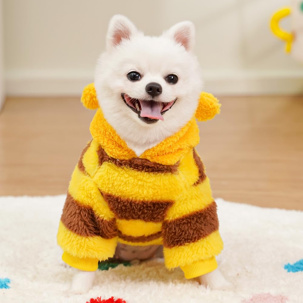 Dog Bee Costumes for Halloween The Dachshund Zone