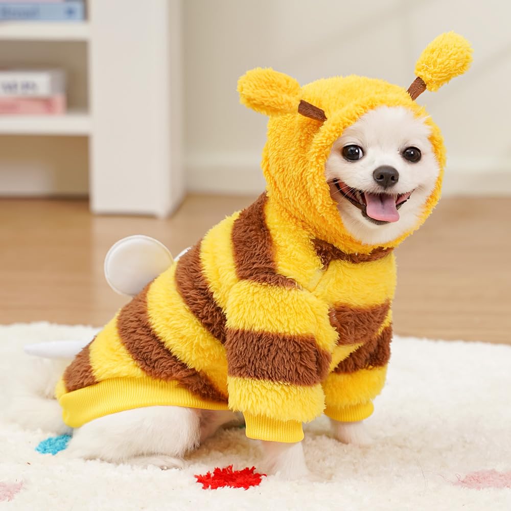 Dog Bee Costumes for Halloween The Dachshund Zone