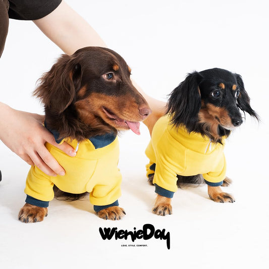 WienieDay Dachshund Dog Turtleneck Sweater, Adjustable Polo Collar The Dachshund Zone