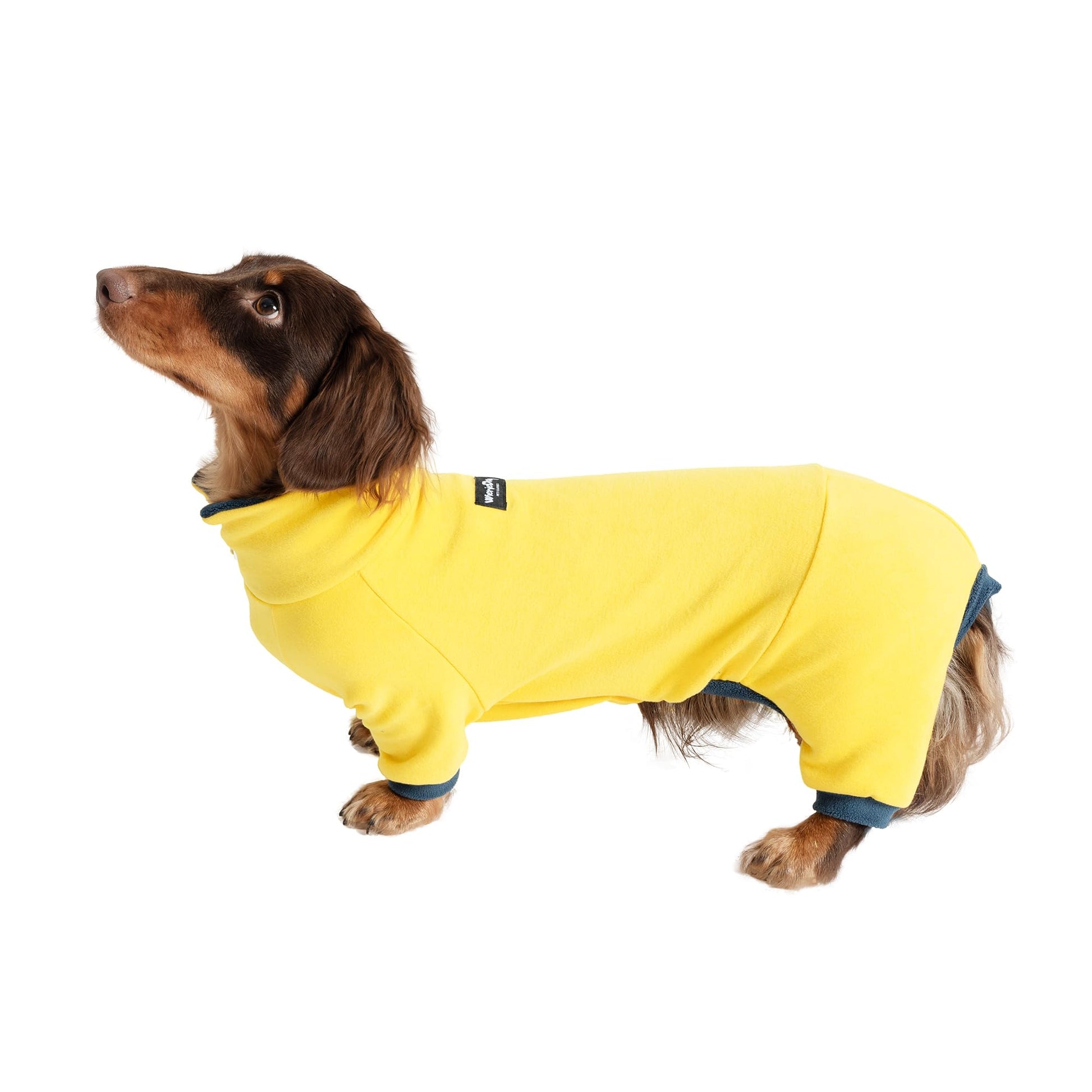 WienieDay Dachshund Dog Turtleneck Sweater, Adjustable Polo Collar The Dachshund Zone