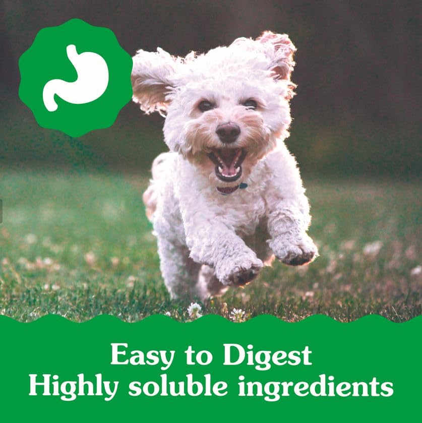 Greenies Puppy Teenie Size Dental Dog Treats The Dachshund Zone