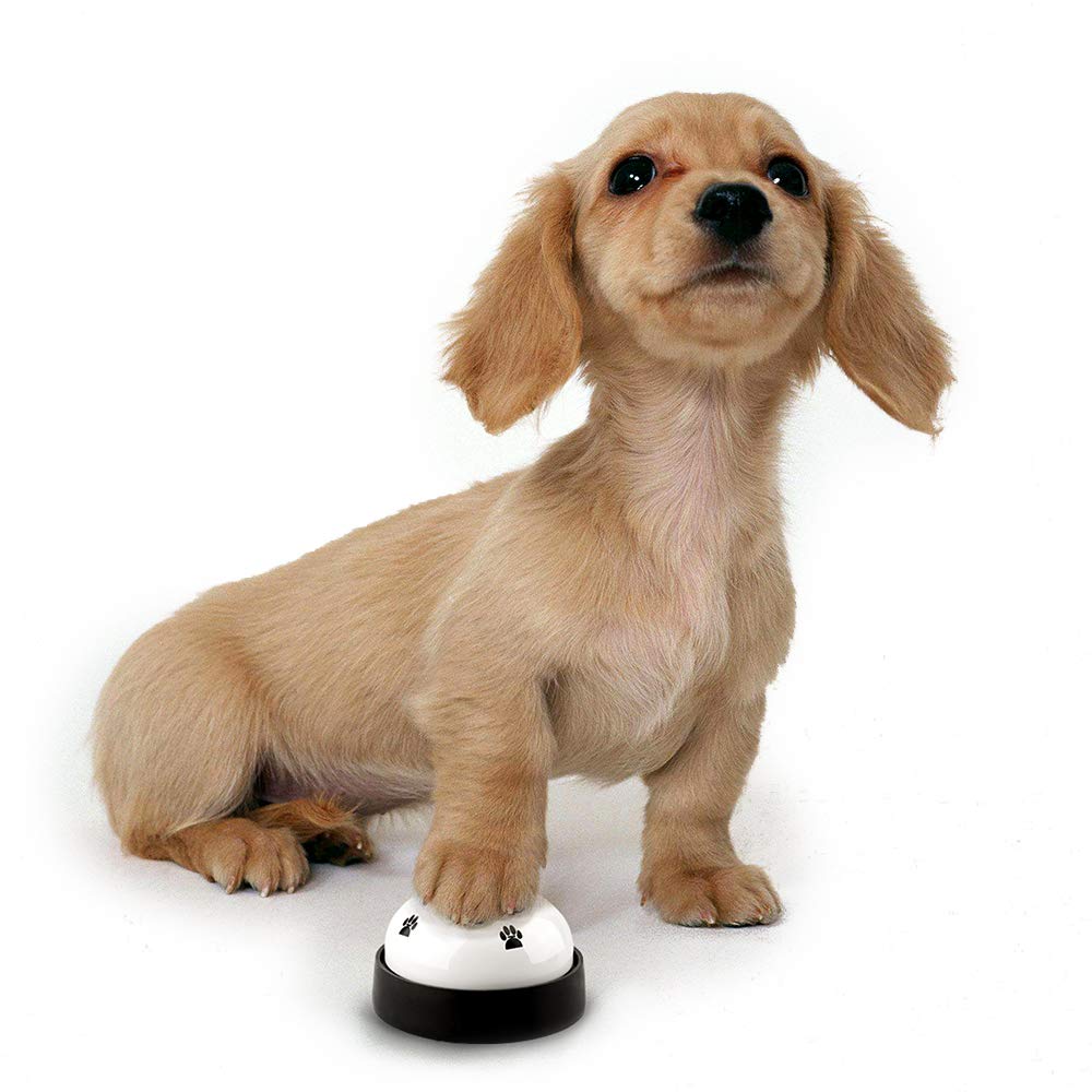 Dog Training Bell, Set of 2 Dog Puppy Pet Potty Training Bells The Dachshund Zone