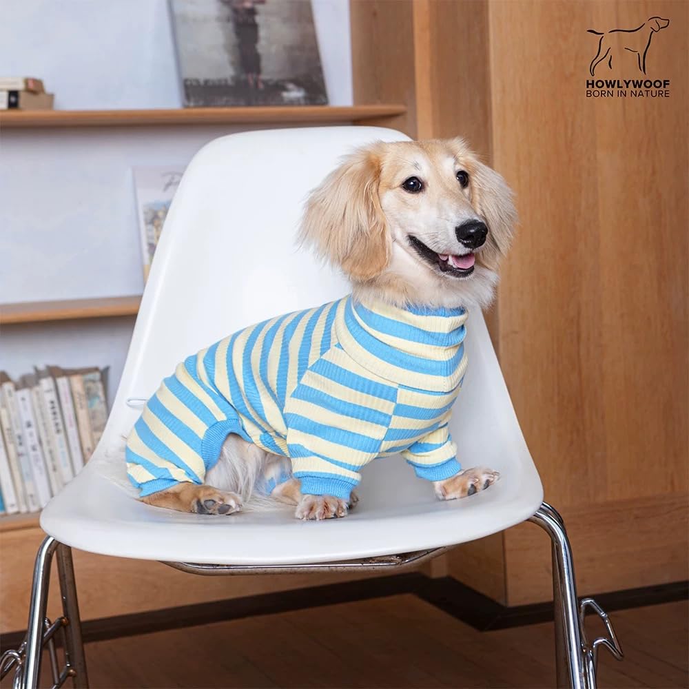 HowlyWoof Dachshund Dog Shirt, Thin Striped Base Layer Onesie for Wiener Dogs, Lightweight All-Season Wear. The Dachshund Zone