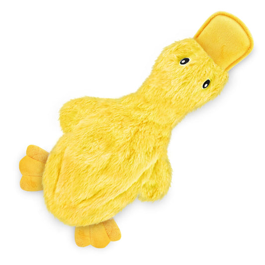 Best Pet Supplies Interactive Squeaky Dog Chew Toy, Ideal Dog Toys for Chewers, Small, Medium & Large Dogs, and Fetch Lovers - Crinkle Duck (Yellow), Large The Dachshund Zone