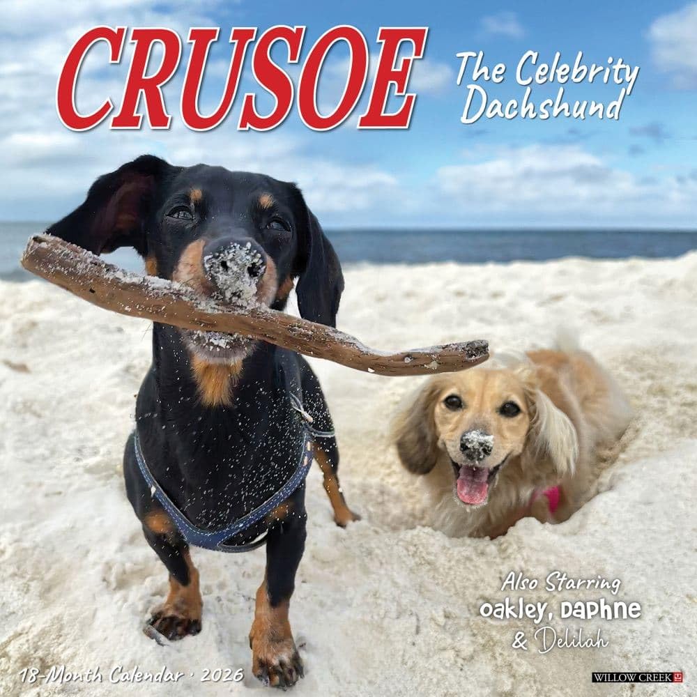 Willow Creek Press, Crusoe the Celebrity Dachshund 2026 Wall Calendar, 12'' X 12'', 18-Month Calendar with Stapled Binding The Dachshund Zone