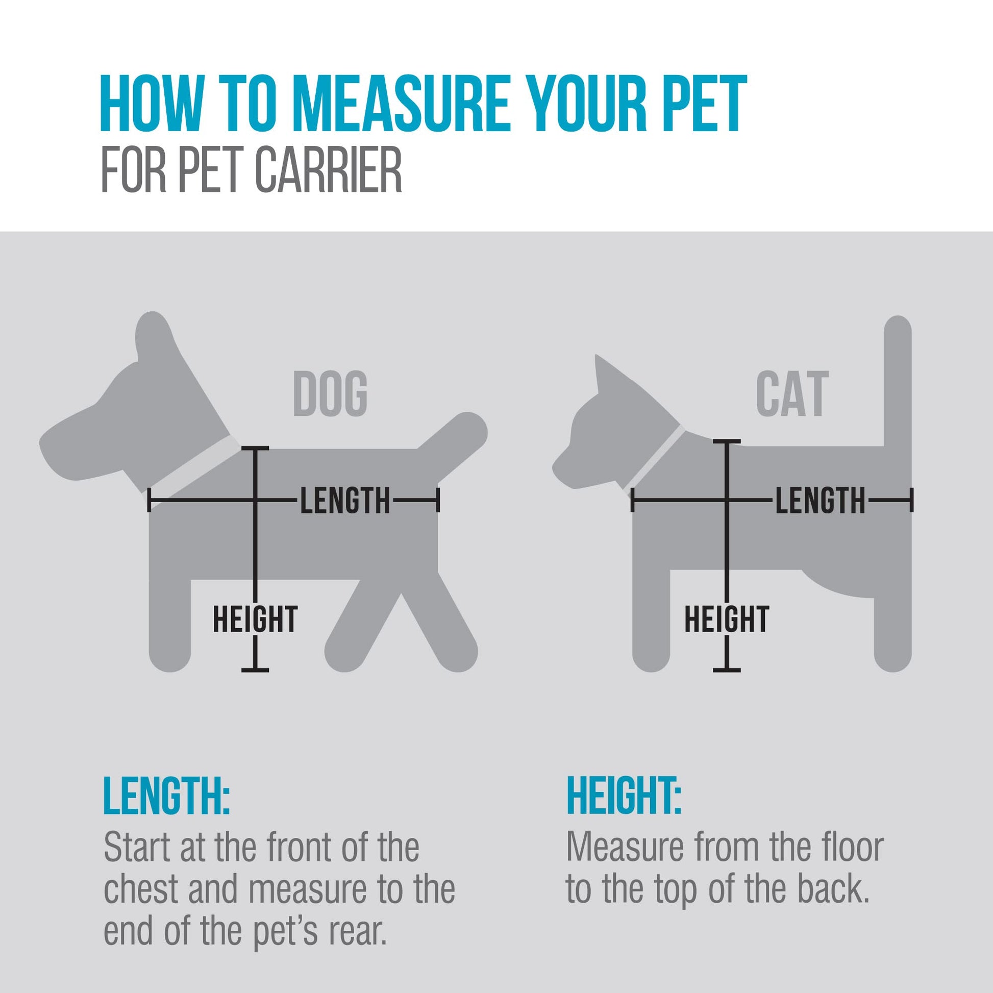 Sherpa Original Deluxe Travel Pet Carrier, Airline Approved The Dachshund Zone