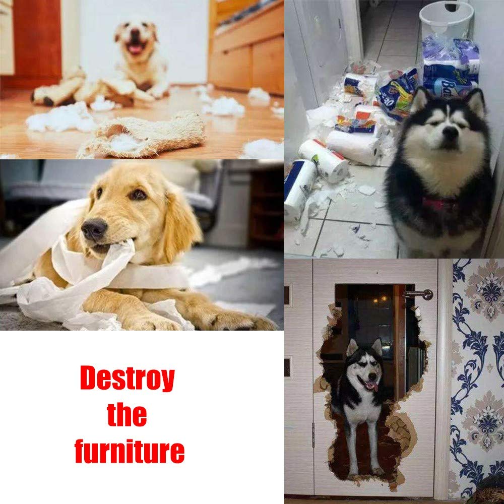 Pet Snuffle Mat for Dogs The Dachshund Zone