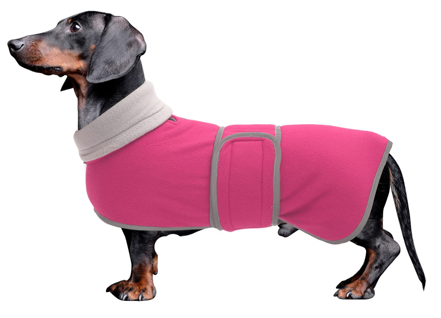 Dachshund Coats Sausage Dog Fleece Coat in Winter- Reflective Trim Safety The Dachshund Zone