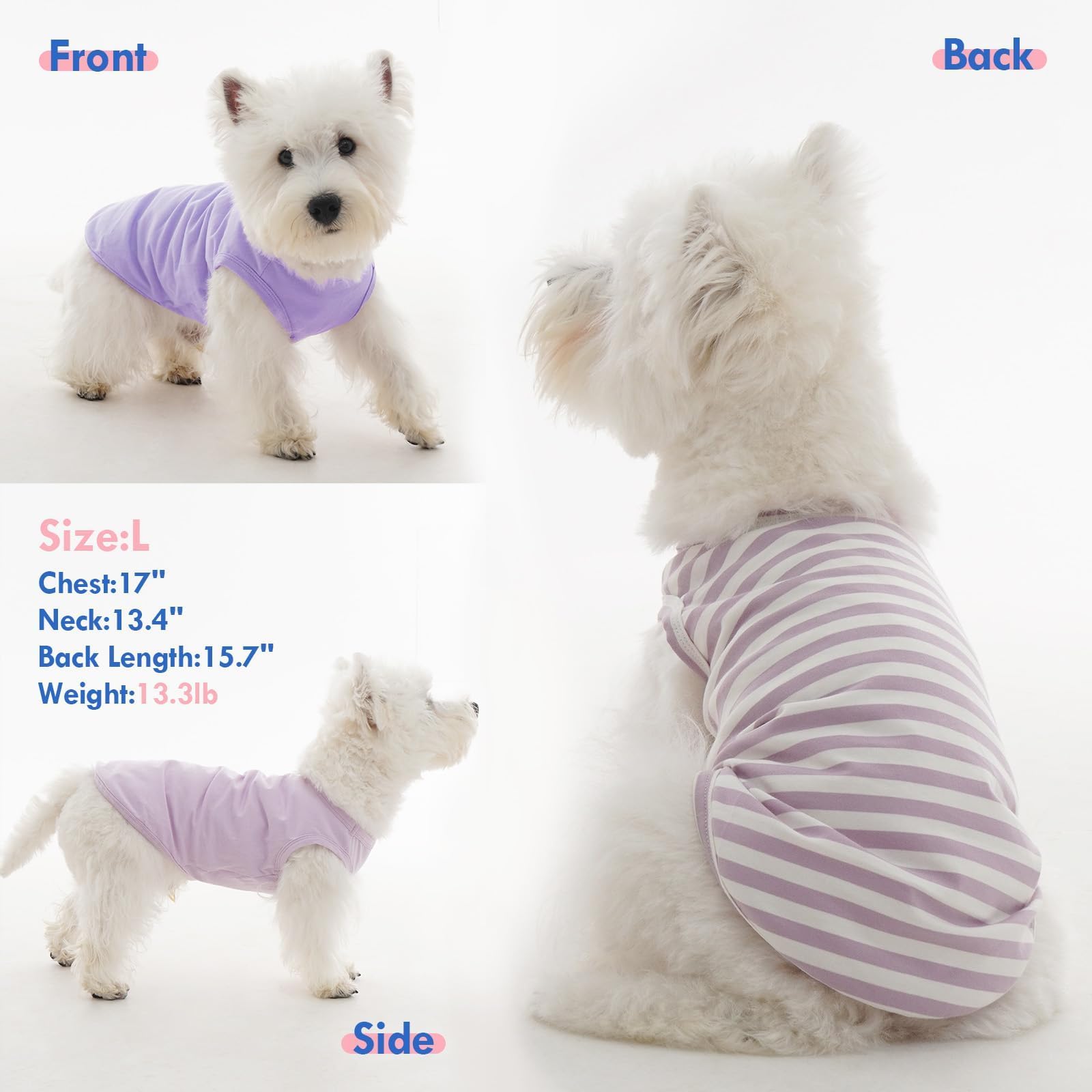 Striped Dog T Shirt for Small Dogs The Dachshund Zone