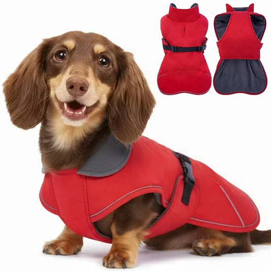 Dachshund Jackets with Adjustable Bands The Dachshund Zone