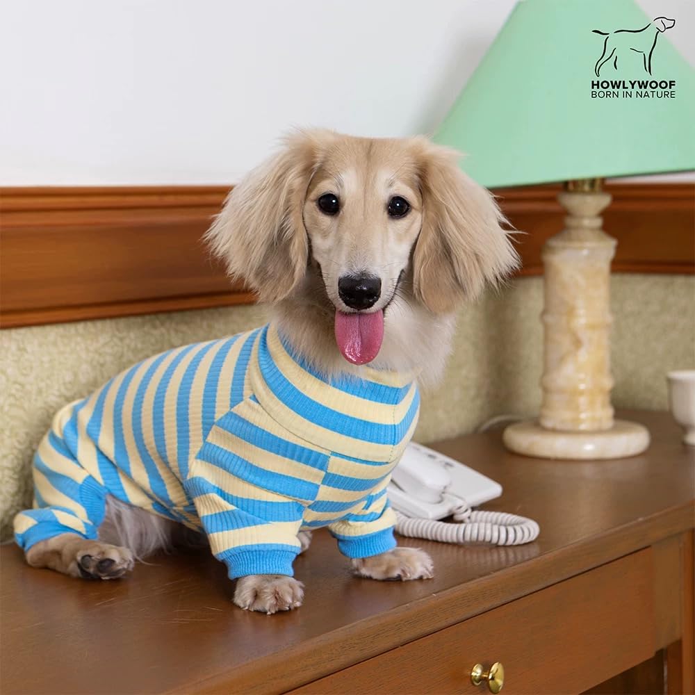HowlyWoof Dachshund Dog Shirt, Thin Striped Base Layer Onesie for Wiener Dogs, Lightweight All-Season Wear. The Dachshund Zone