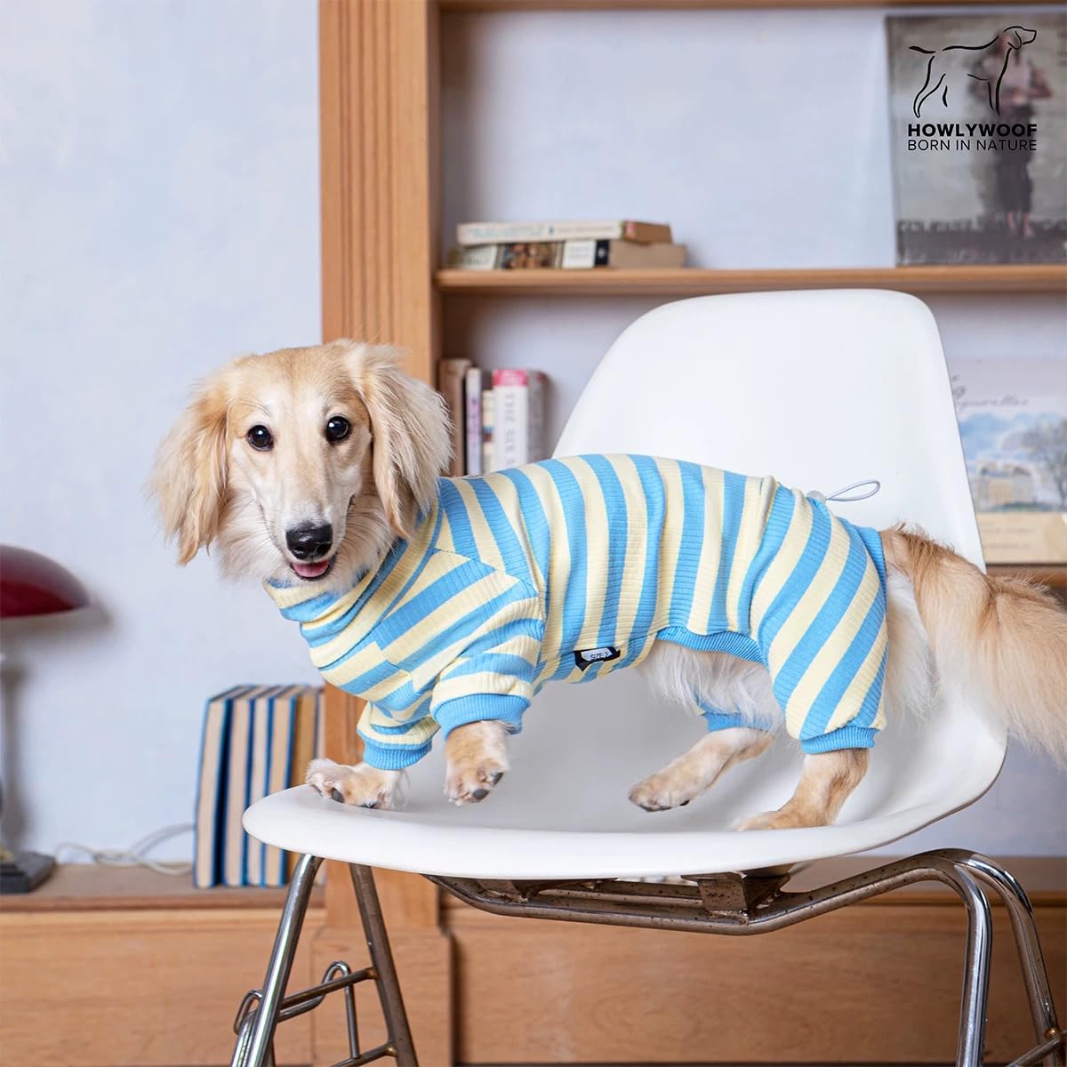 Dachshund Dog Shirt, Thin Striped Base Layer Onesie for Wiener Dogs The Dachshund Zone