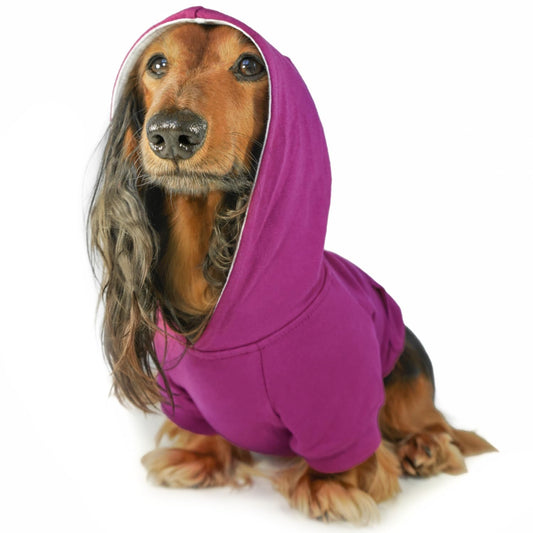 Dog Hoodie – Warm Winter Dog Sweater & Fully Lined The Dachshund Zone