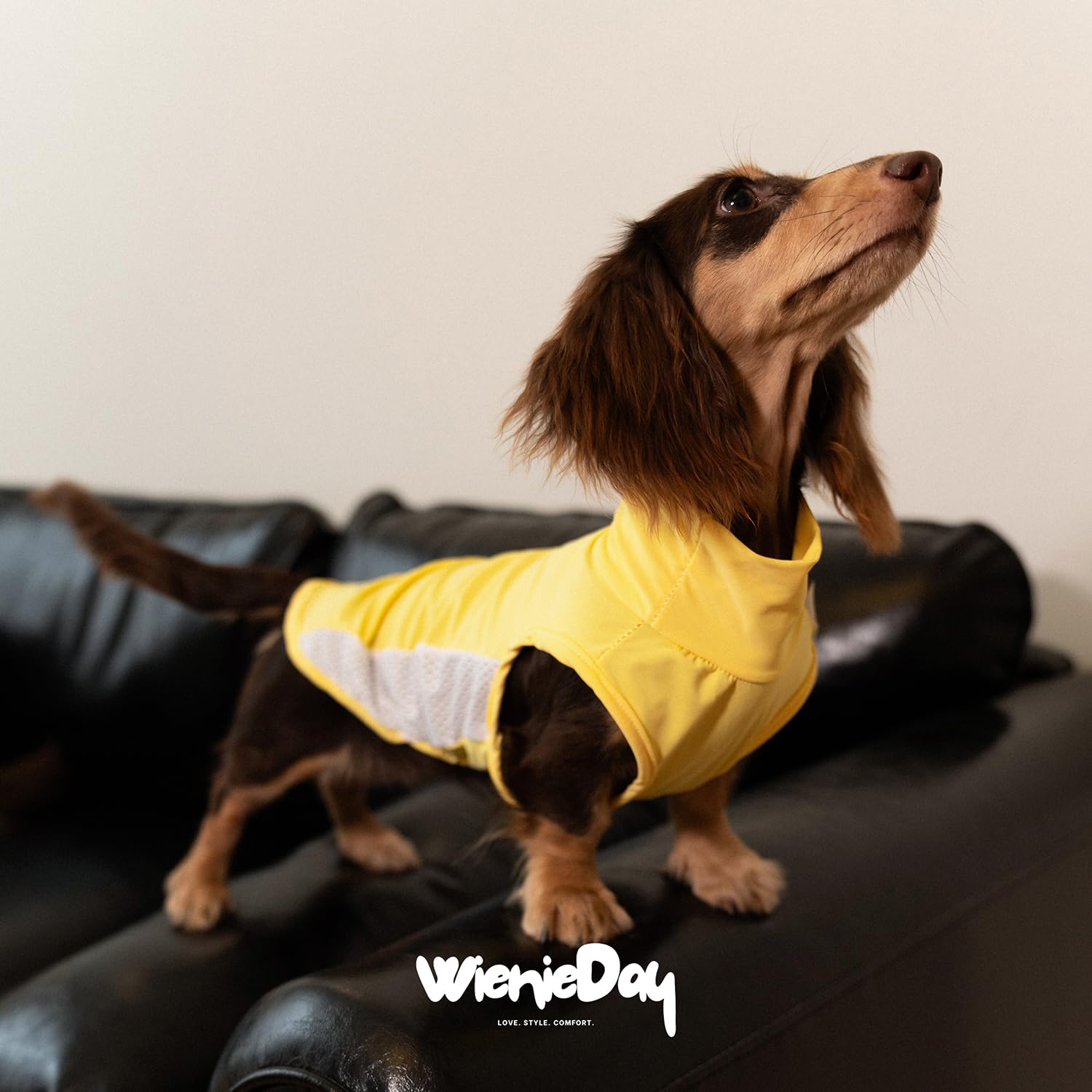 WienieDay Dachshund Dog Cooling Vest, Breathable Summer Dog Cooling & Quick-Dry Shirt The Dachshund Zone