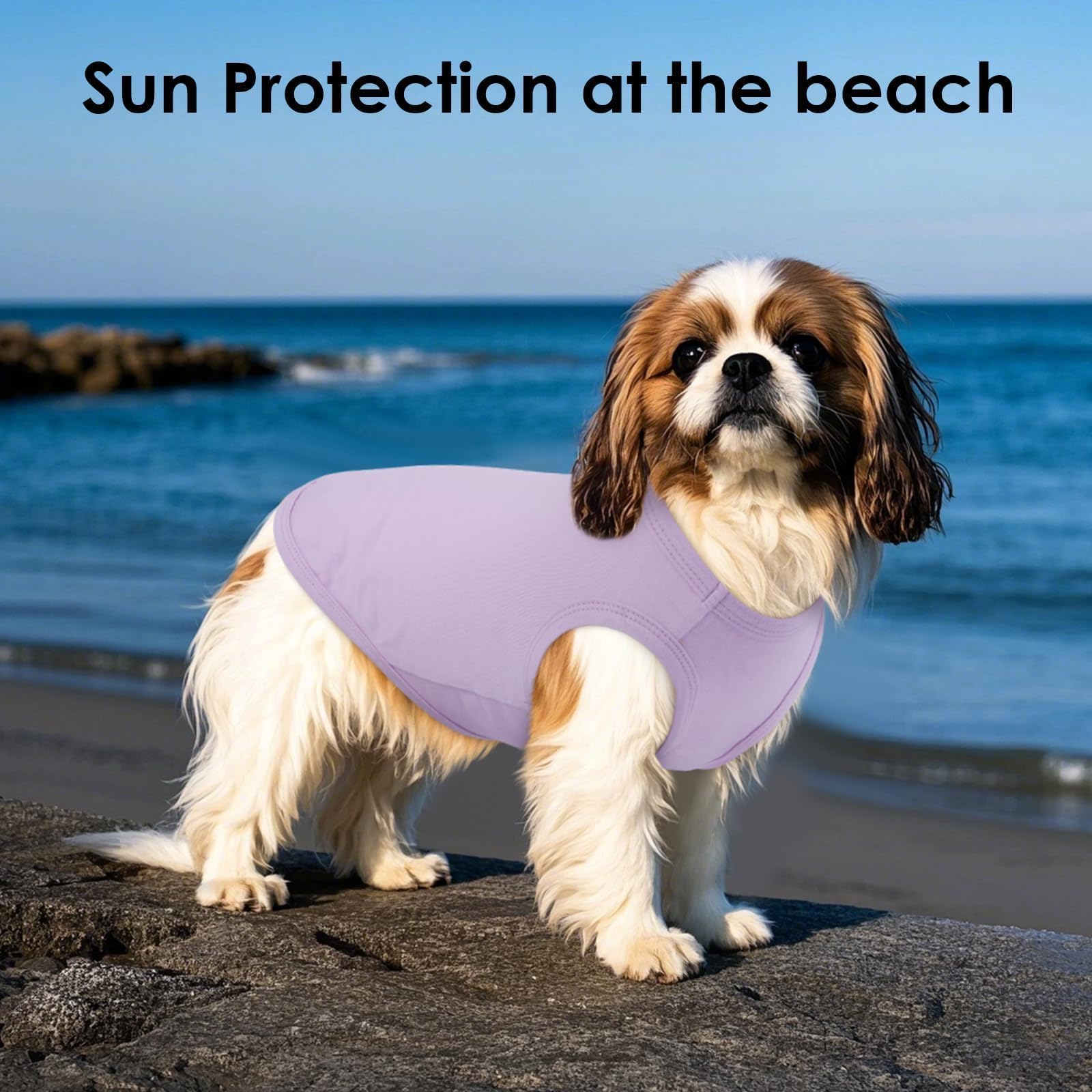 Striped Dog T Shirt for Small Dogs The Dachshund Zone