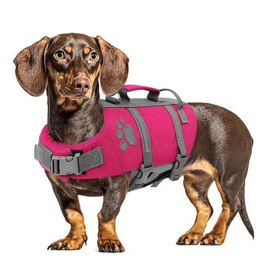 Queenmore Small Dog Life Jacket, Ripston Puppy Life Vest The Dachshund Zone