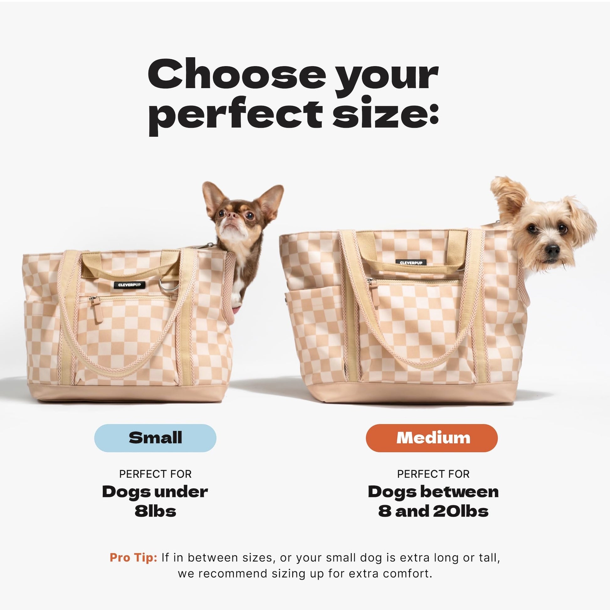 Cleverpup Transit Tote Dog Carrier for Small/Medium Dogs 8-20 lbs, 19x12x9 Soft-Sided 4-Pc Set with Waterproof Base, Plush Insert, Food Pouch, Mesh Head Opening - Medium, Sand The Dachshund Zone