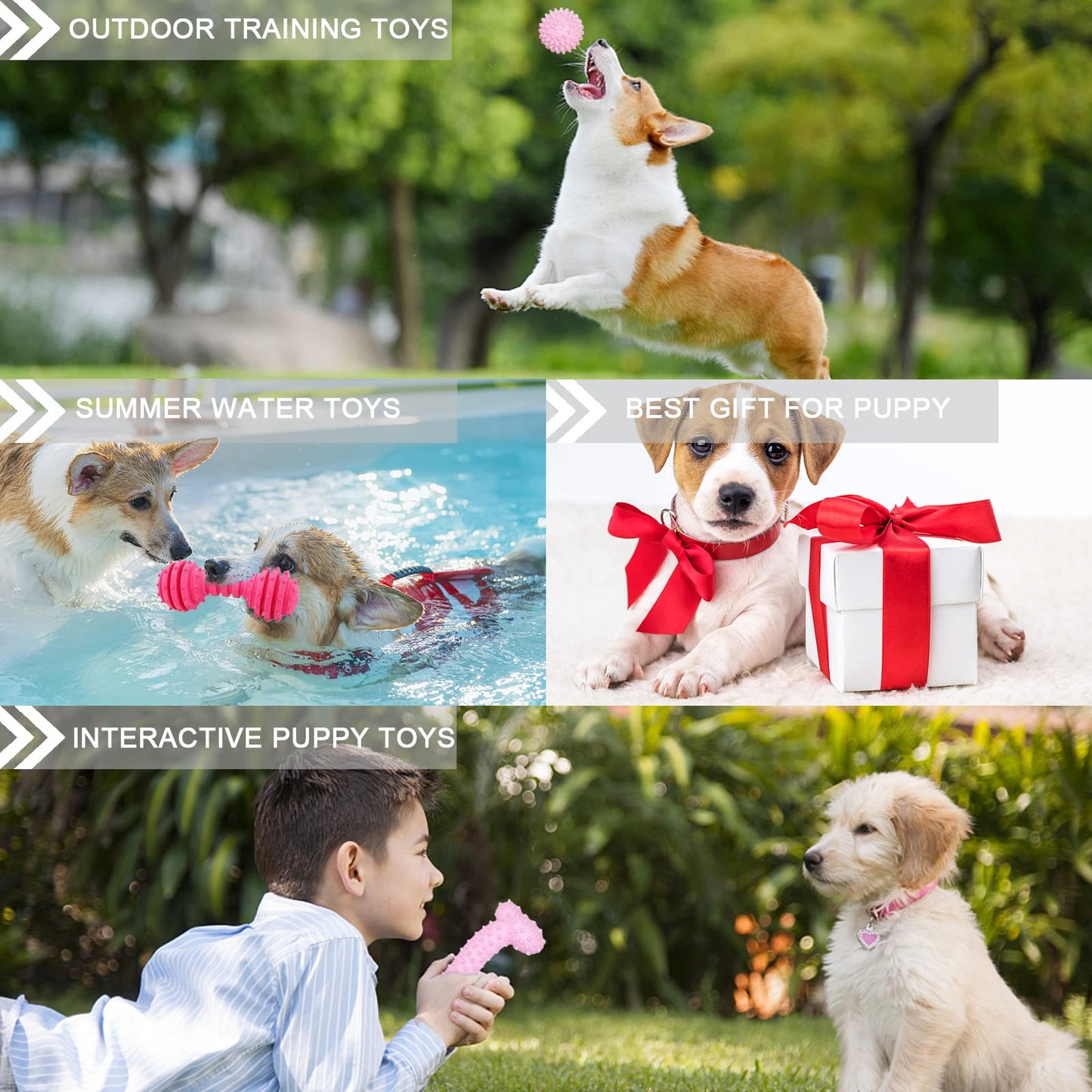 CGBD Puppy Toys, 6 Pack Dog Chew Toys for Puppy - The Dachshund Zone