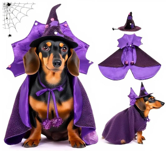 Kagoty Small Dog Halloween Costumes The Dachshund Zone
