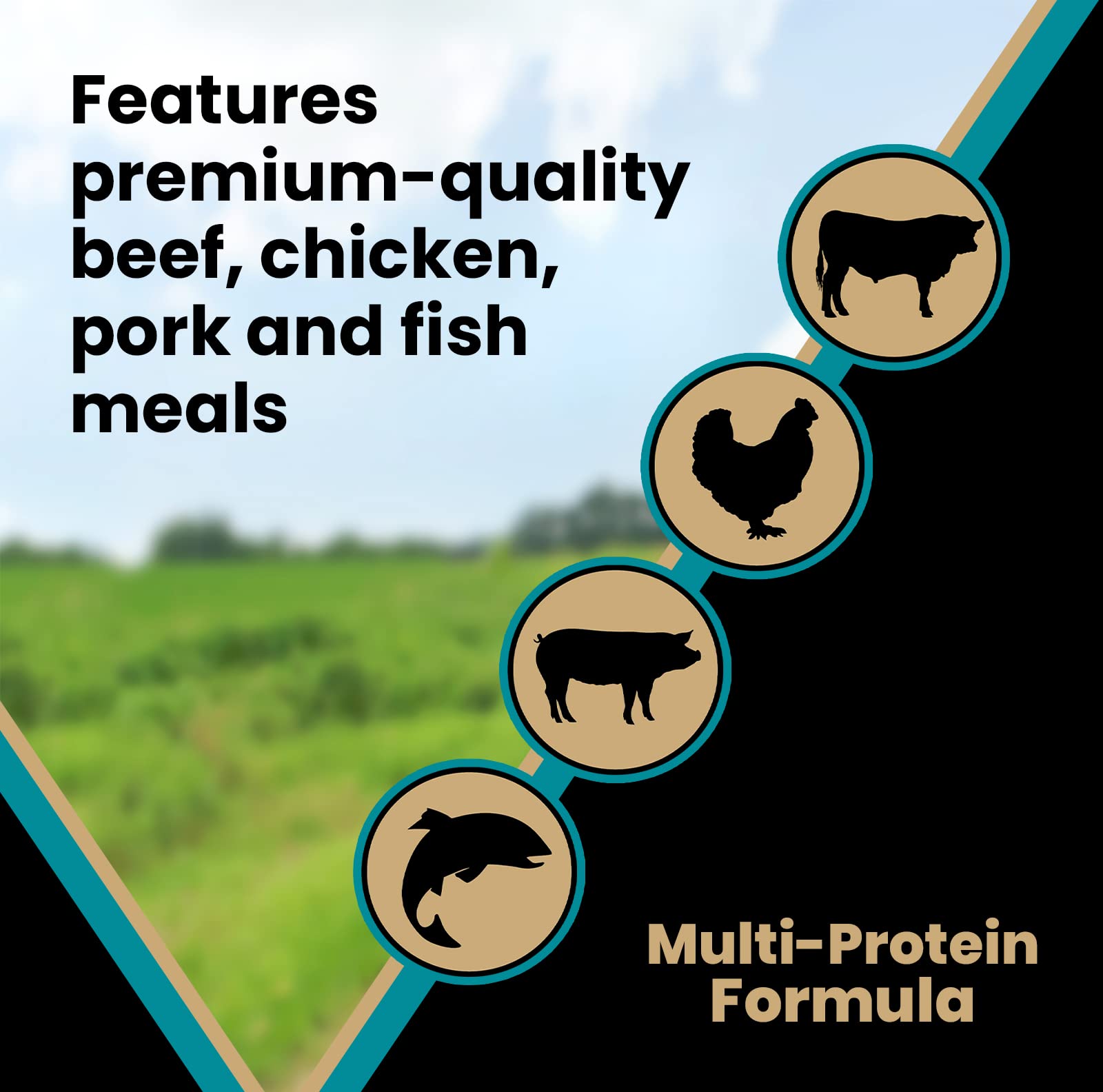 VICTOR Super Premium Dog Food – Hi-Pro Plus Dry Kibble The Dachshund Zone