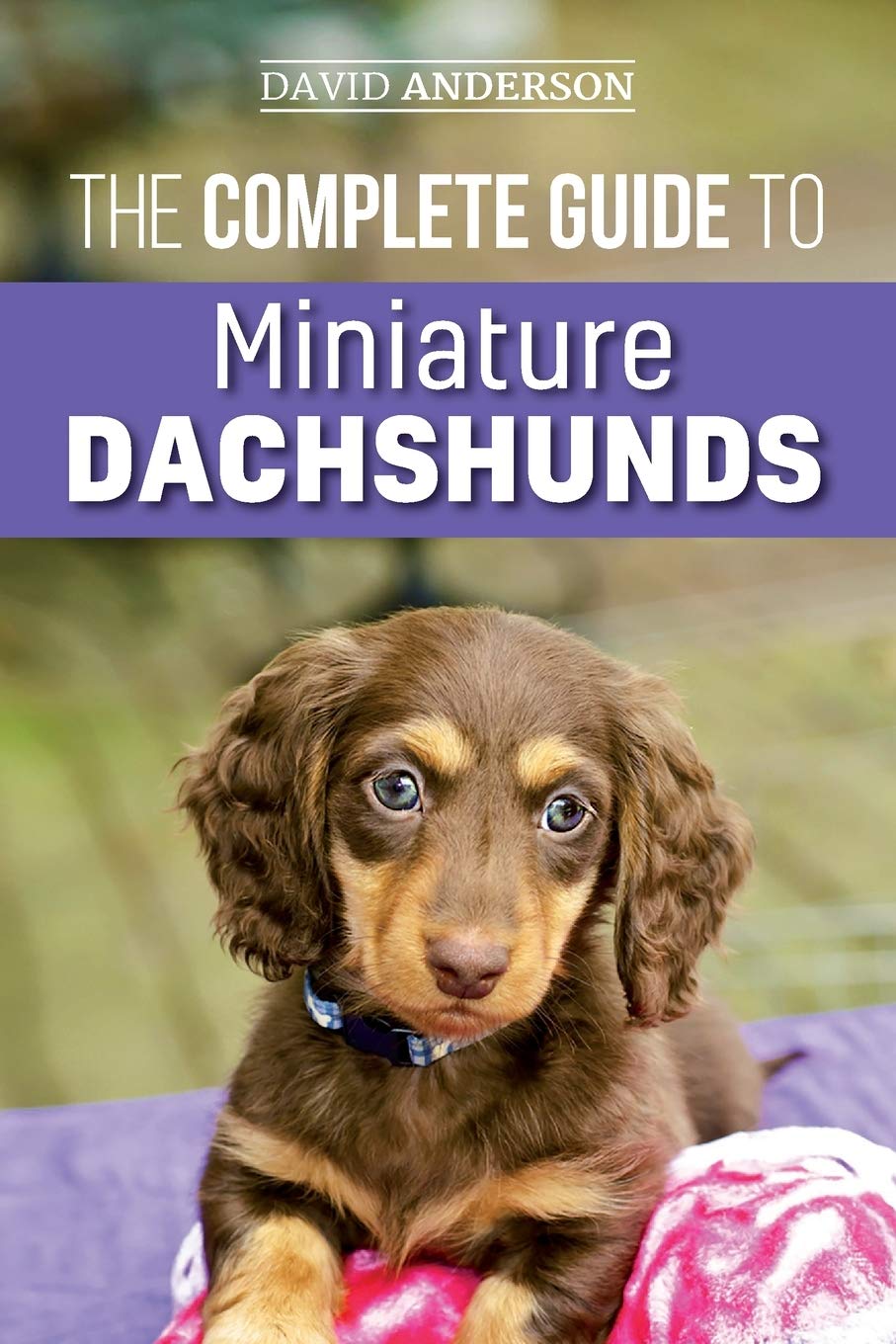 The Complete Guide to Miniature Dachshunds: A step-by-step guide. The Dachshund Zone