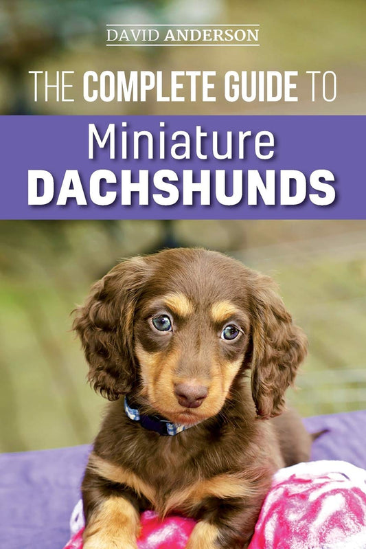 The Complete Guide to Miniature Dachshunds: A step-by-step guide. The Dachshund Zone