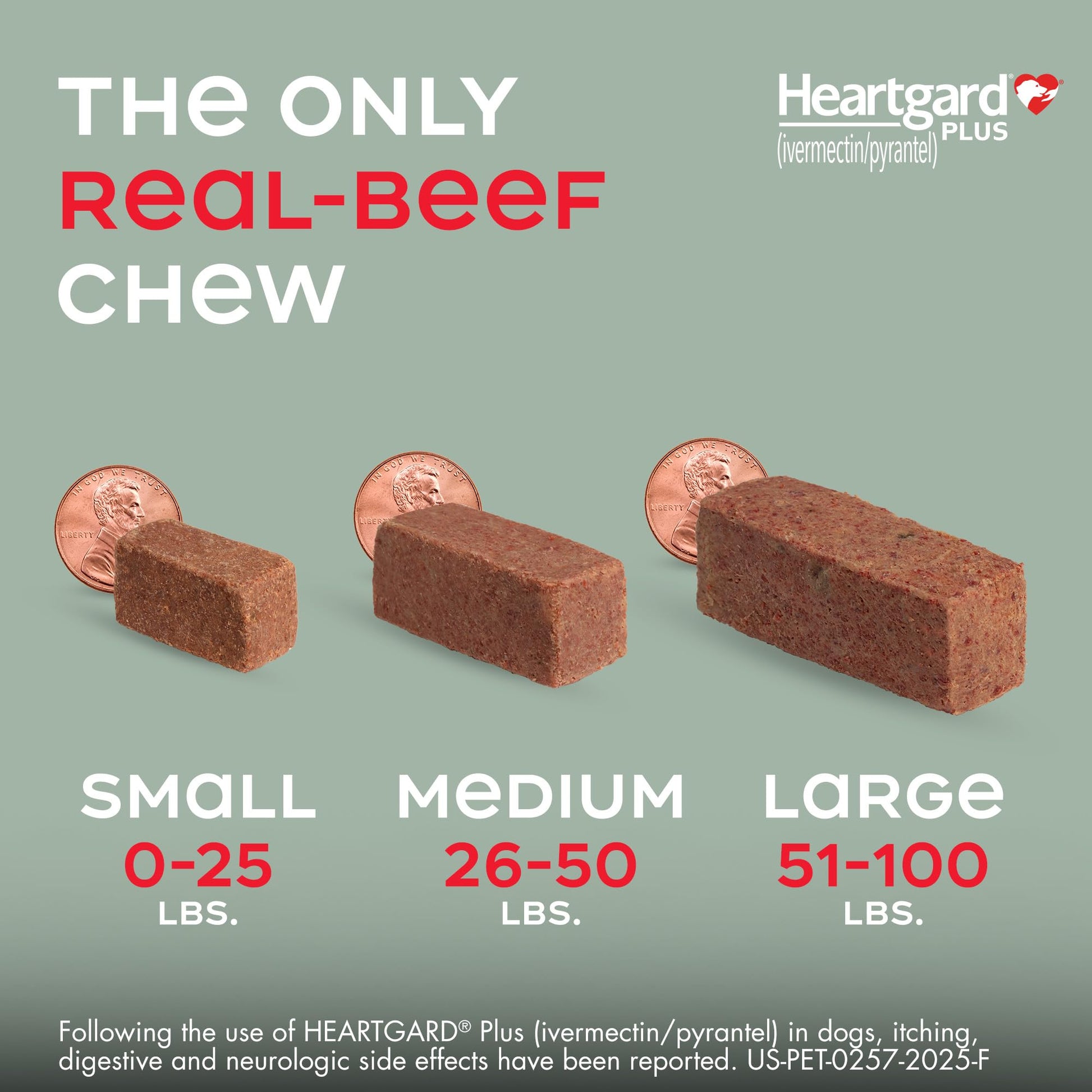 HEARTGARD® Plus (ivermectin/pyrantel) Real-Beef Chewables The Dachshund Zone