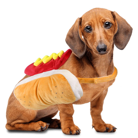 GOYOSWA Dog Hot Dog Costume, Dog Halloween Costumes The Dachshund Zone