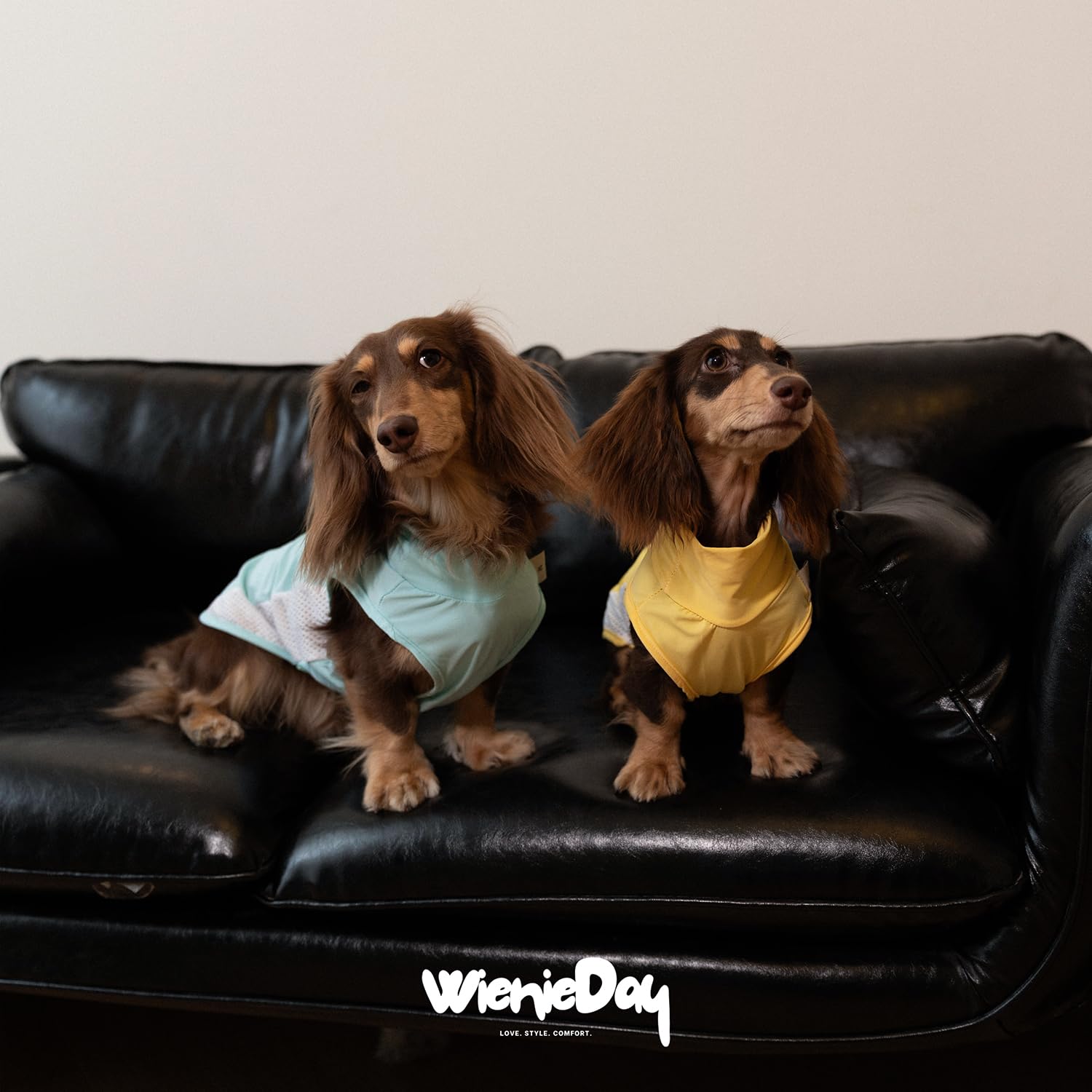 WienieDay Dachshund Dog Cooling Vest, Breathable Summer Dog Cooling & Quick-Dry Shirt The Dachshund Zone
