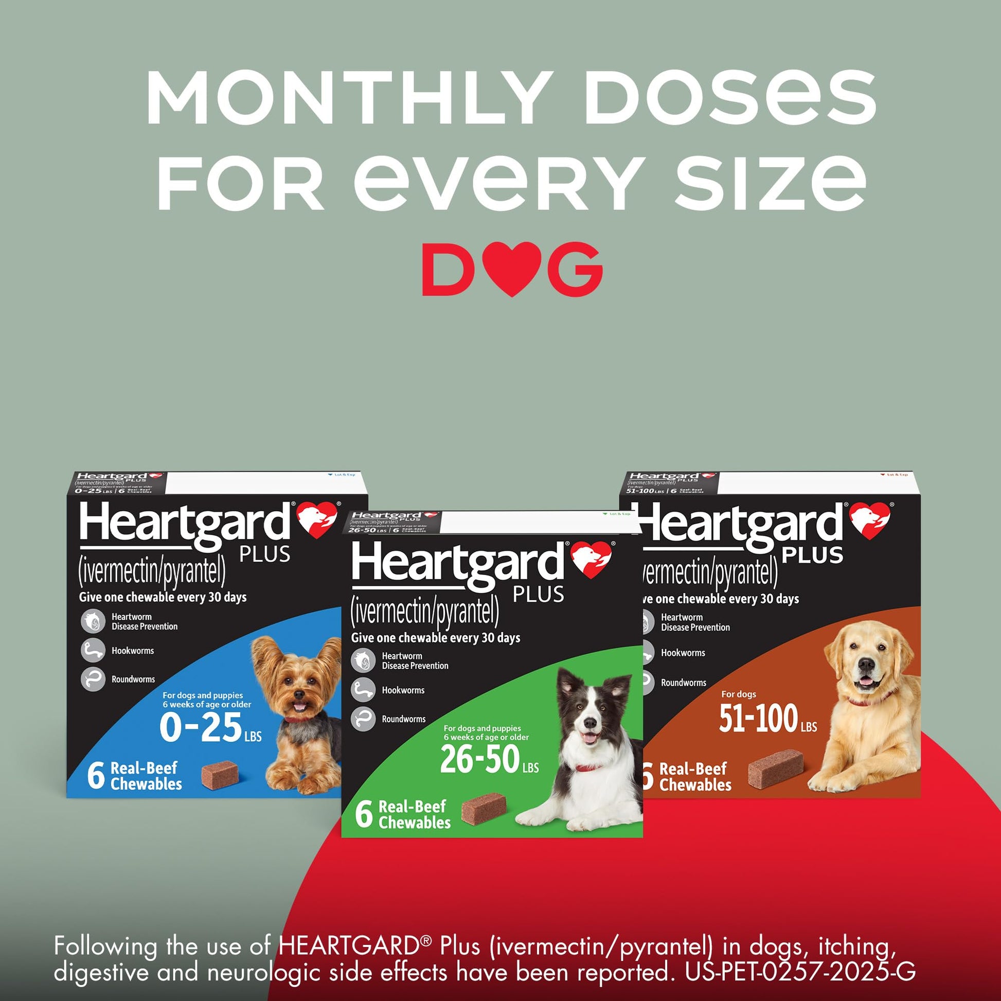 HEARTGARD® Plus (ivermectin/pyrantel) Real-Beef Chewables The Dachshund Zone