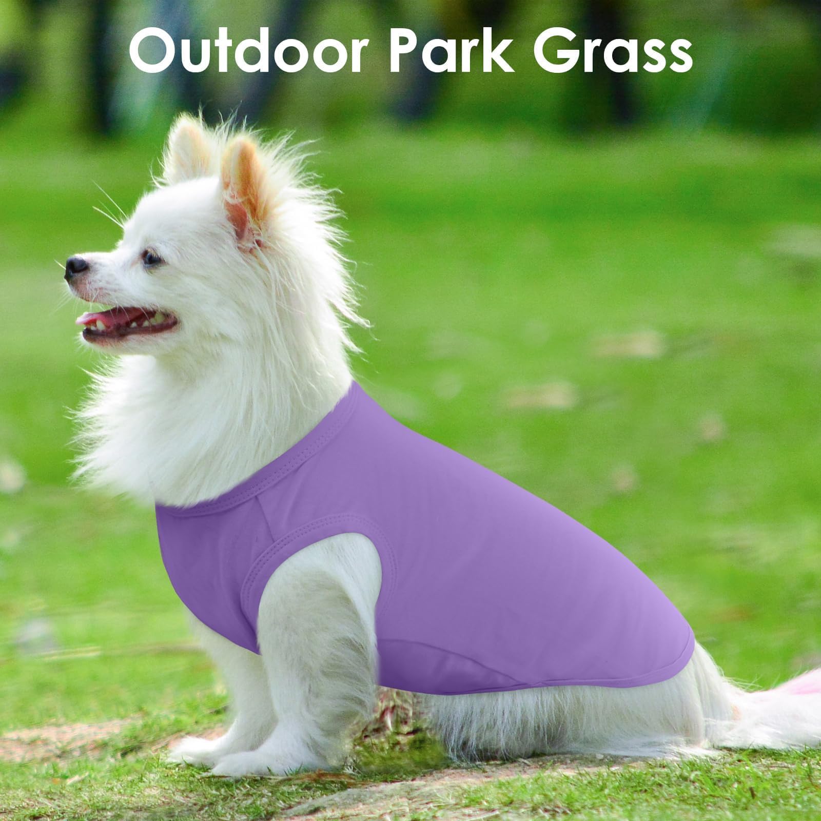Striped Dog T Shirt for Small Dogs The Dachshund Zone