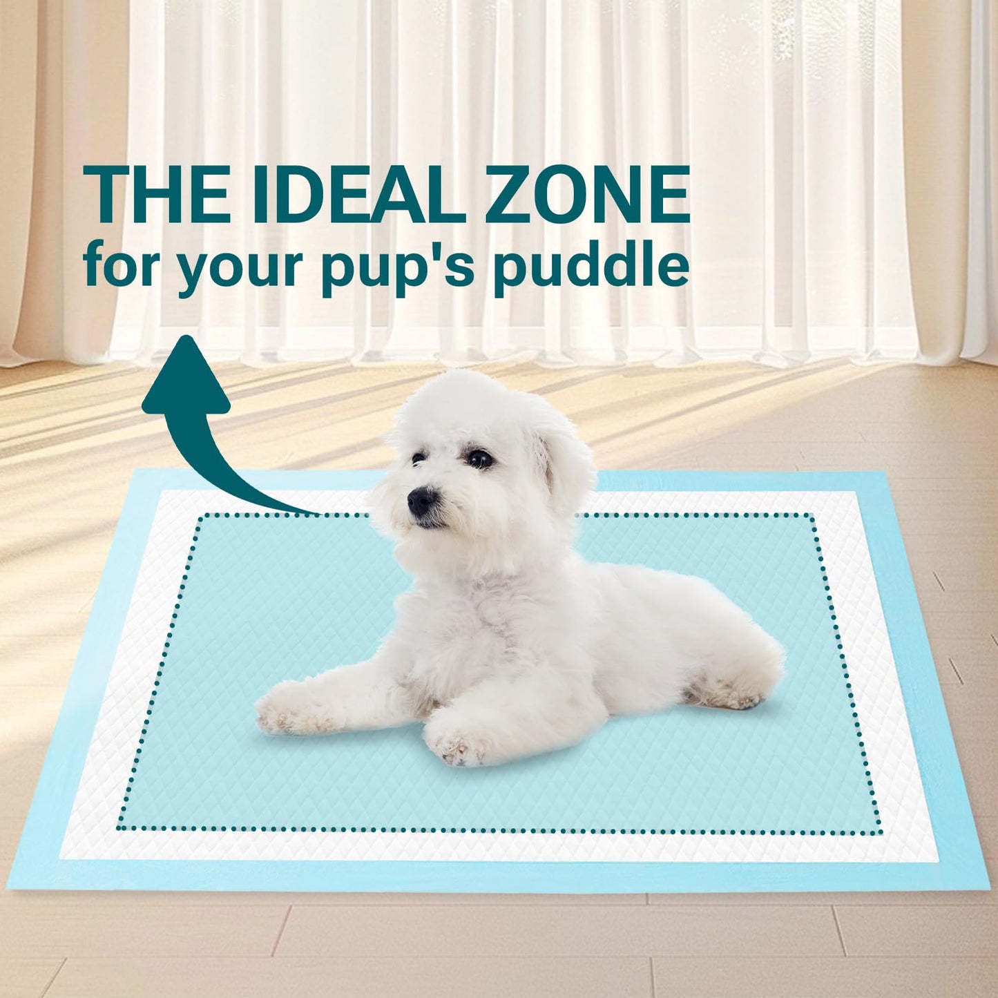 Clean Spaces 100 Count Super Absorbency Puppy Pads 22"x 22", Leakproof The Dachshund Zone