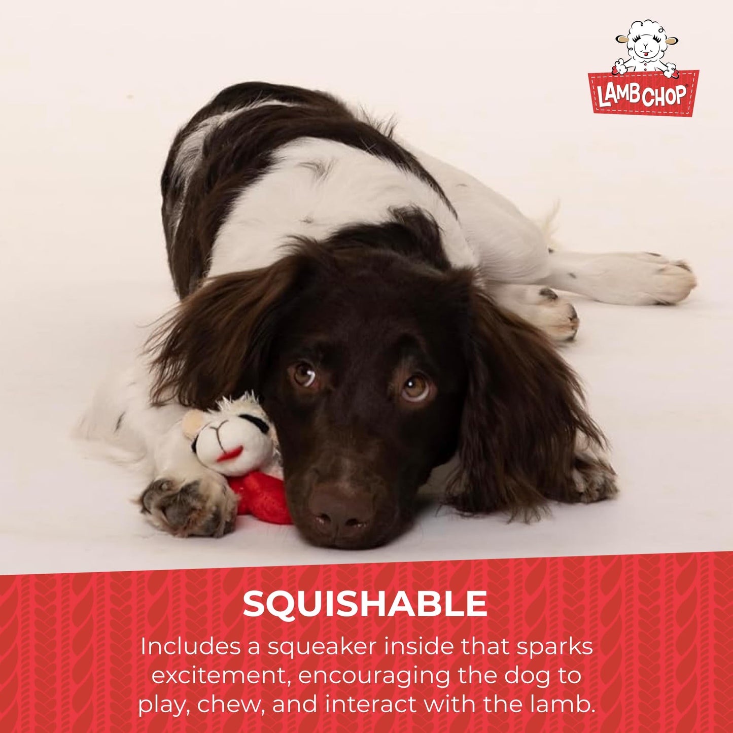 Multipet Lamb Chop Dog Plush Toy - Squeaky Toy for All Dogs The Dachshund Zone