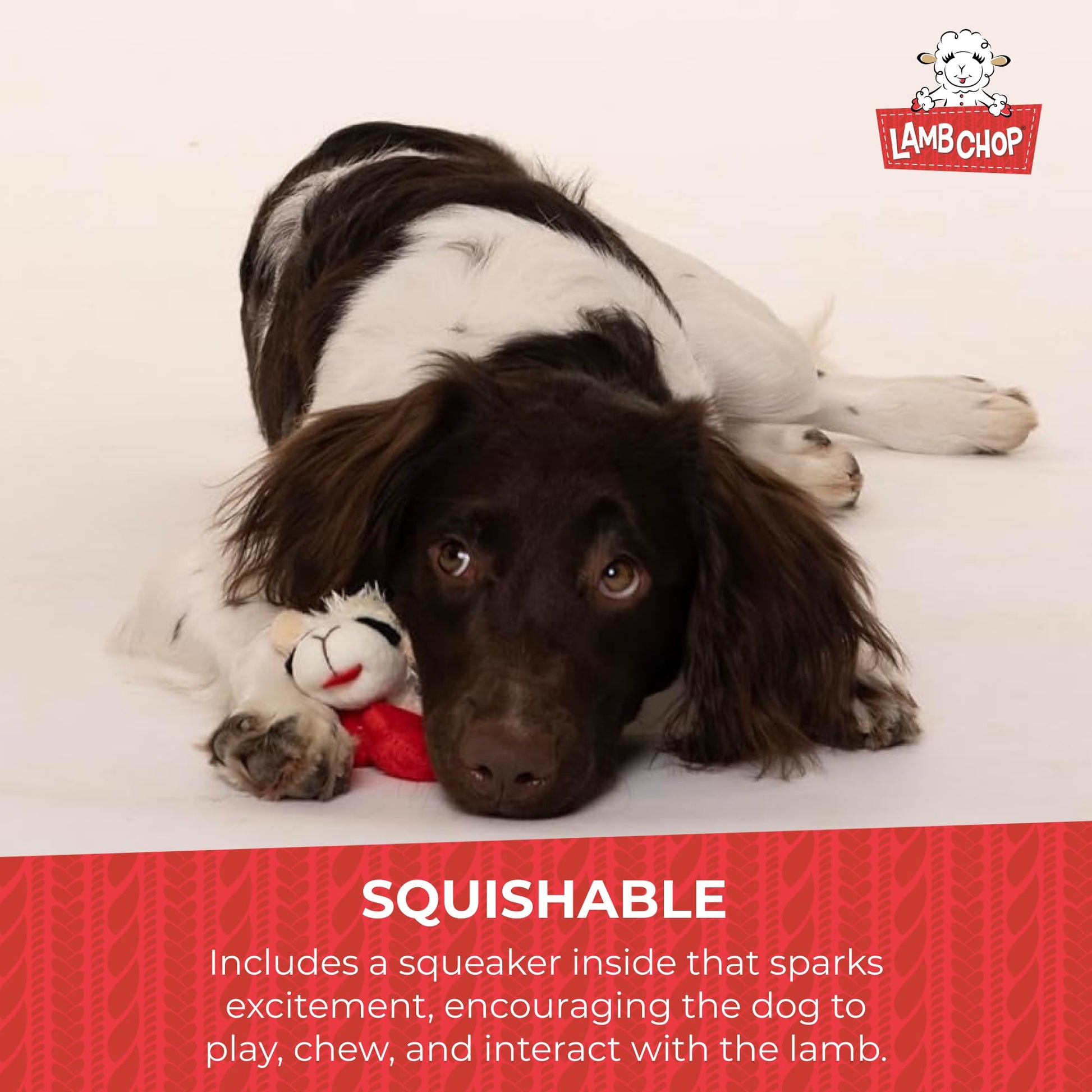 Multipet Lamb Chop Dog Plush Toy - Squeaky Toy for All Dogs The Dachshund Zone