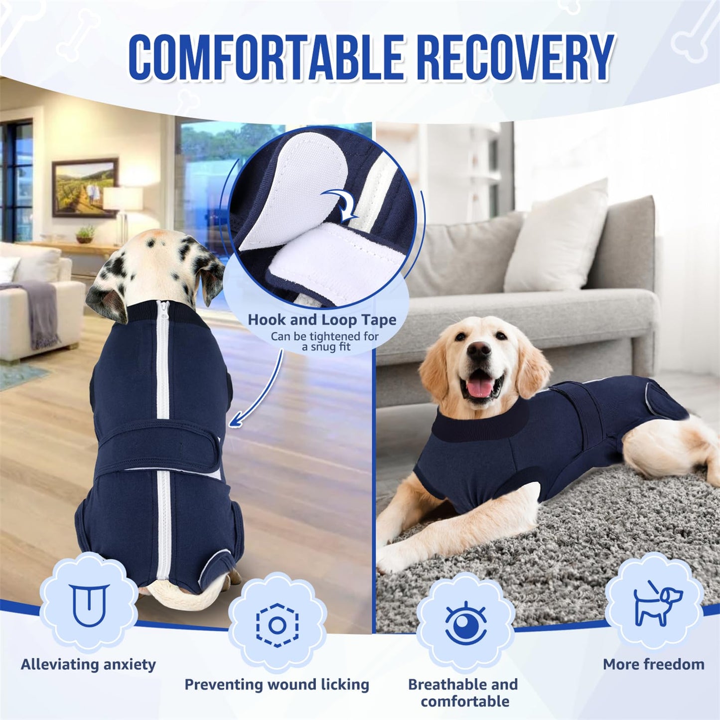Dog Surgery Recovery Suit - Zipper On Dog Onesies The Dachshund Zone