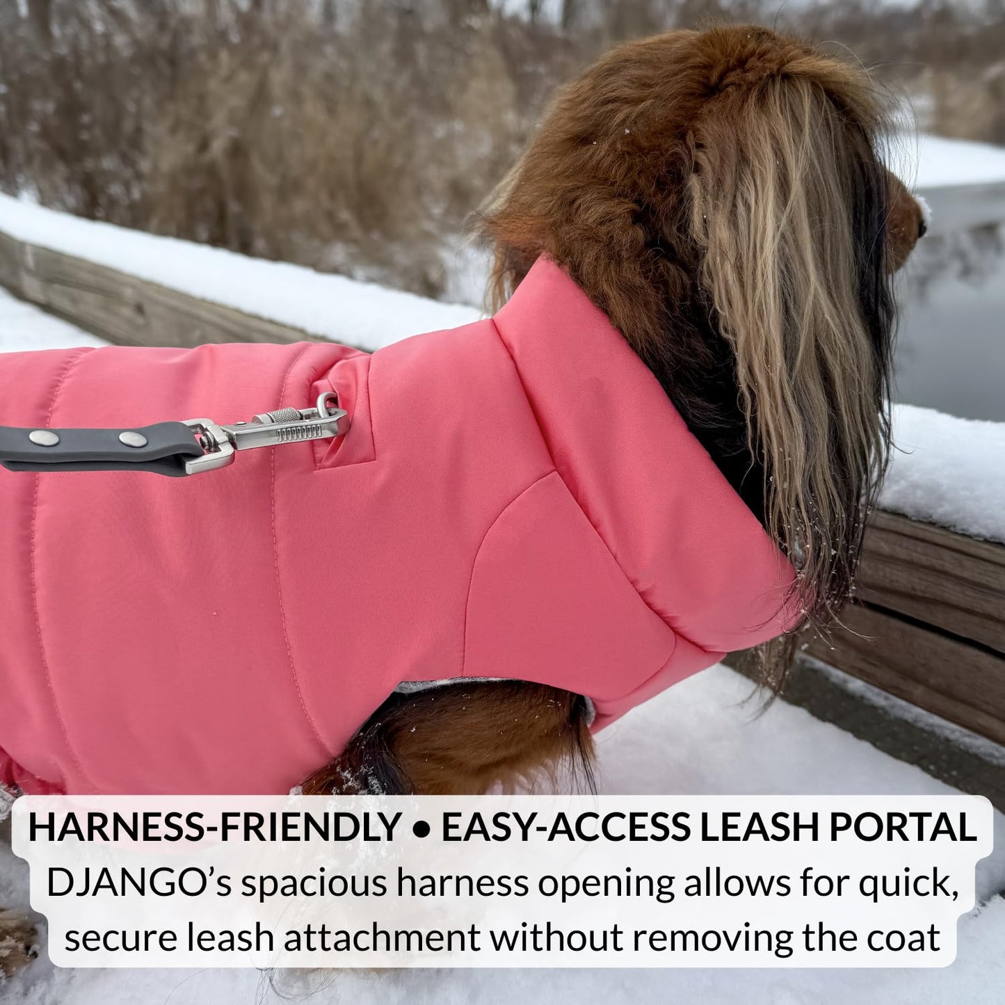DJANGO Puffer Dog Coat – Warm Winter Dog Jacket & Water-Repellent Insulated Puffer Vest The Dachshund Zone