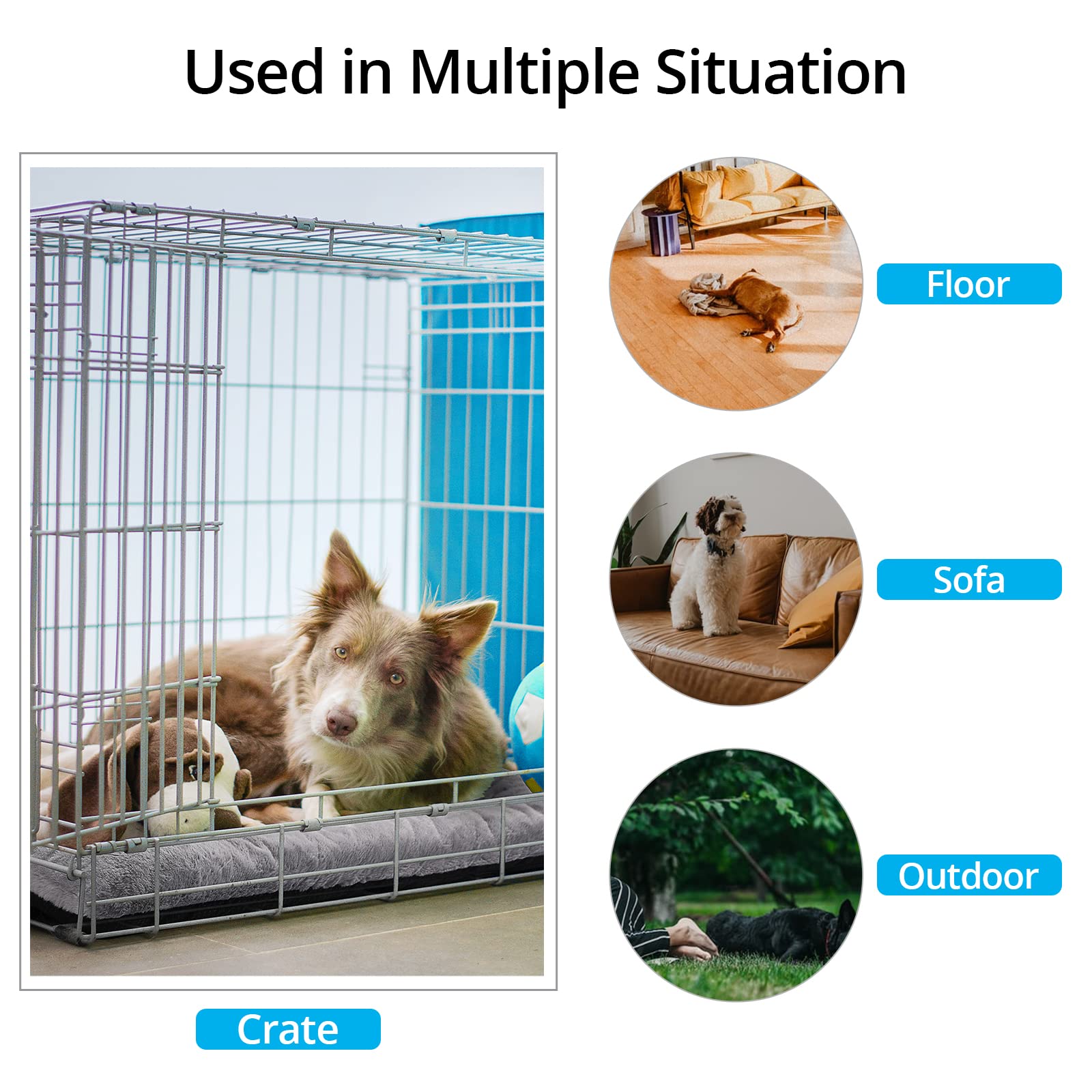 Crate Pad for Small Dogs Ultra Soft The Dachshund Zone