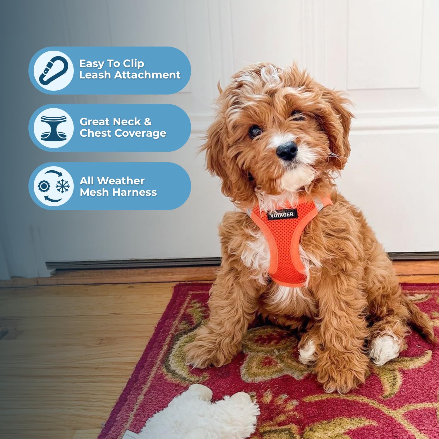 Best Pet Supplies Voyager Step-in Air Harness The Dachshund Zone