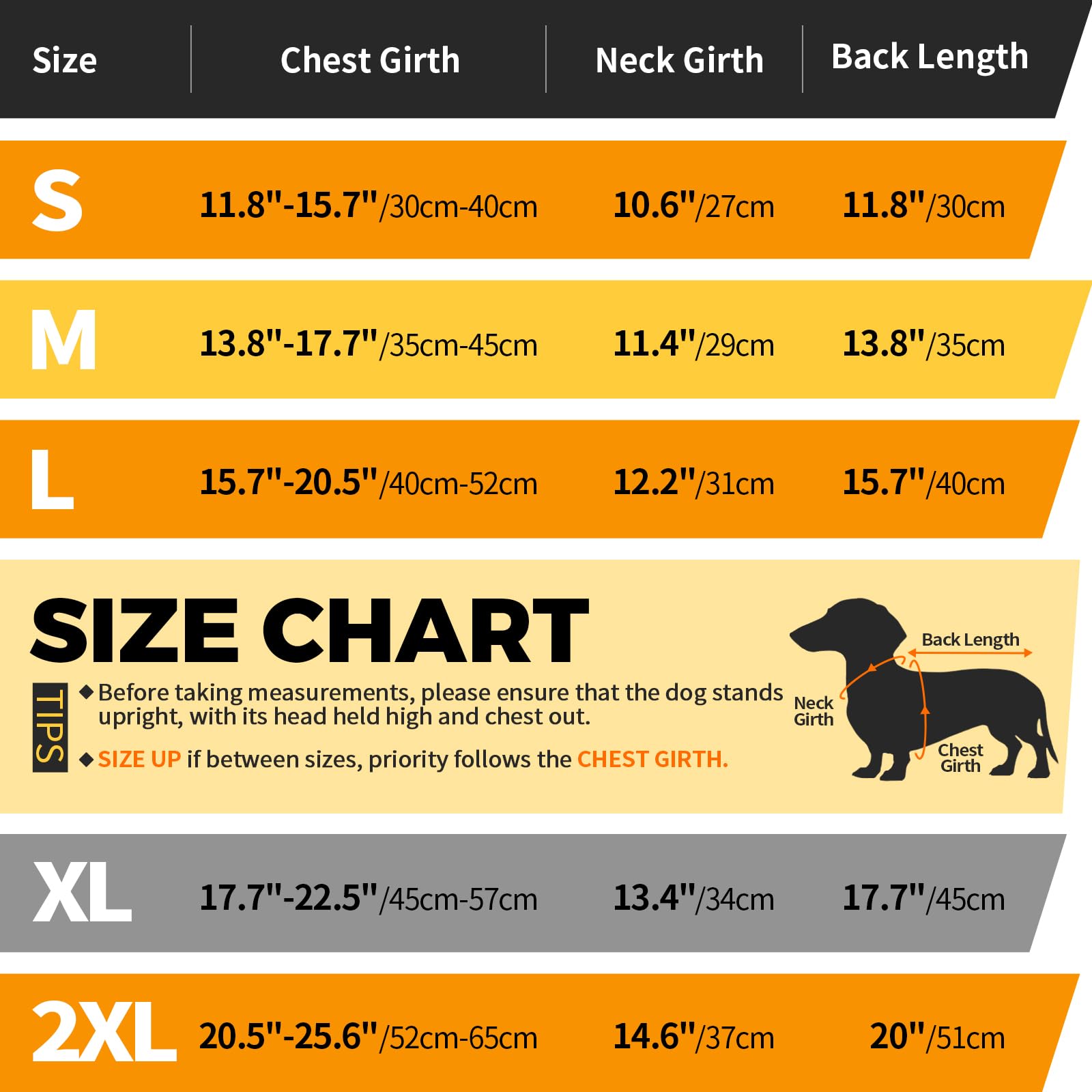 LeLePet Dachshund Coat - Warm, Waterproof Winter Jacket The Dachshund Zone