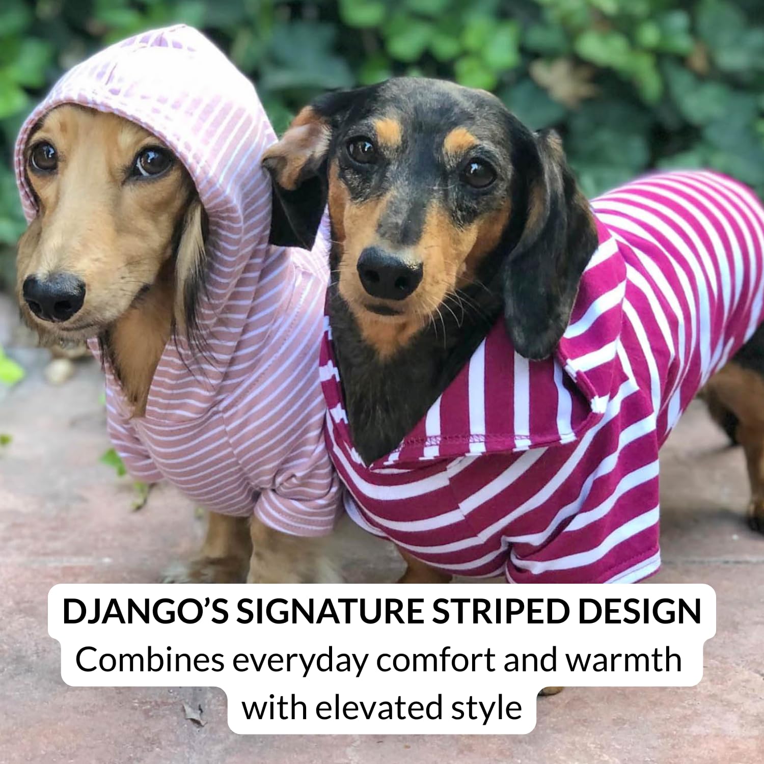 Dog Hoodie – Warm, Lightweight, Soft & Stretchy Dog Sweater The Dachshund Zone
