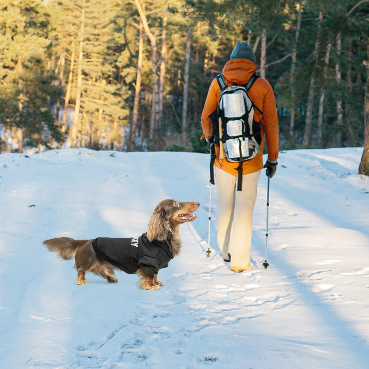 Security Dog Hoodies Dachshund The Dachshund Zone