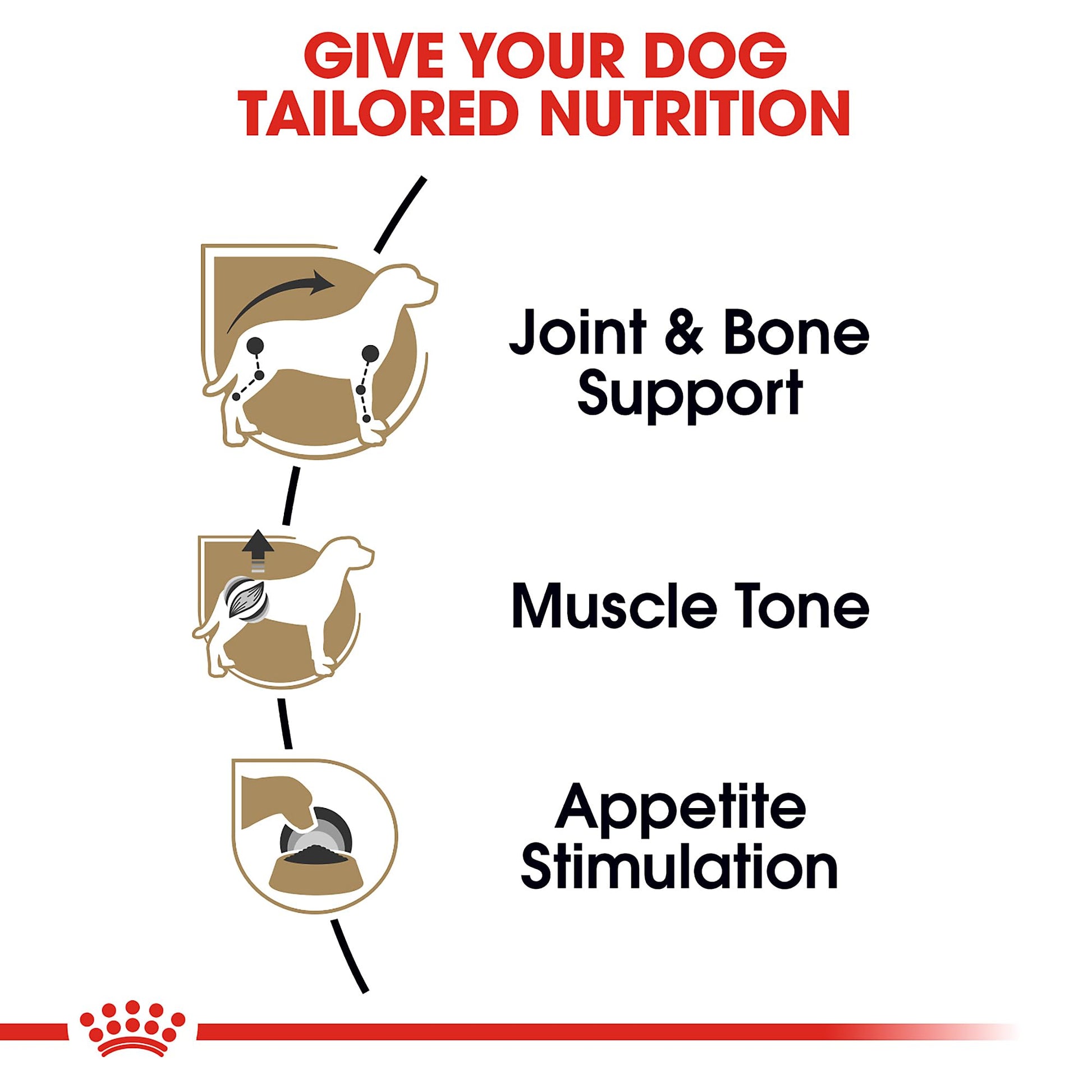 Royal Canin Breed Health Adult Loaf in Sauce The Dachshund Zone