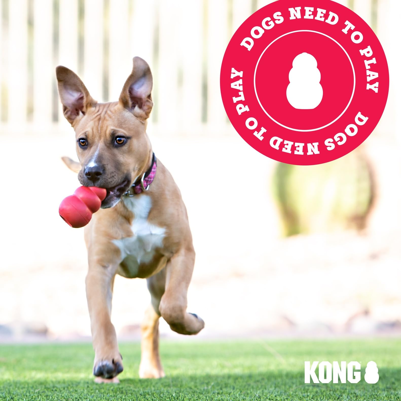 KONG Puppy - Natural Teething Rubber Chew Toy for Dogs The Dachshund Zone