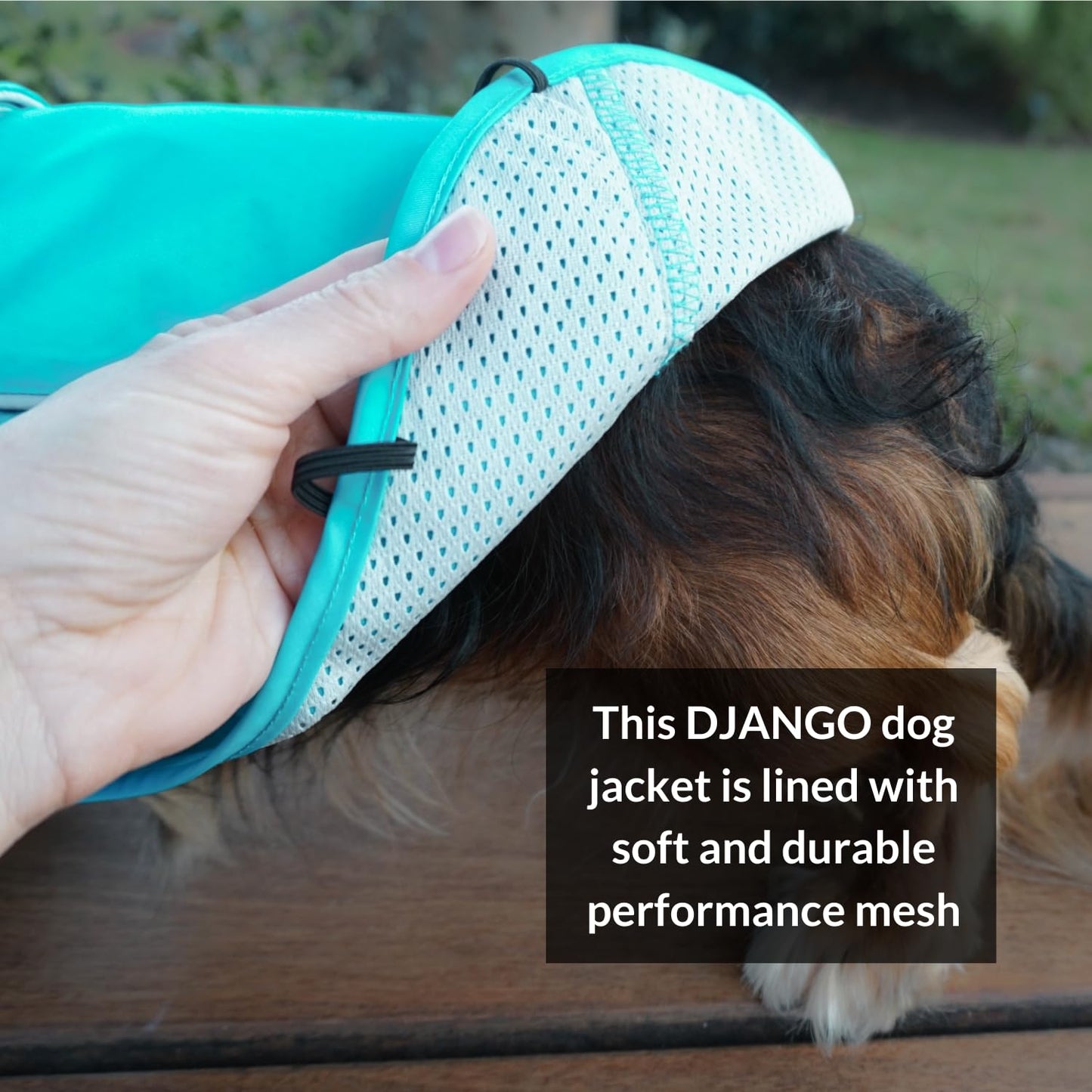 Dog Jacket & Raincoat – Lightweight Water-Resistant The Dachshund Zone