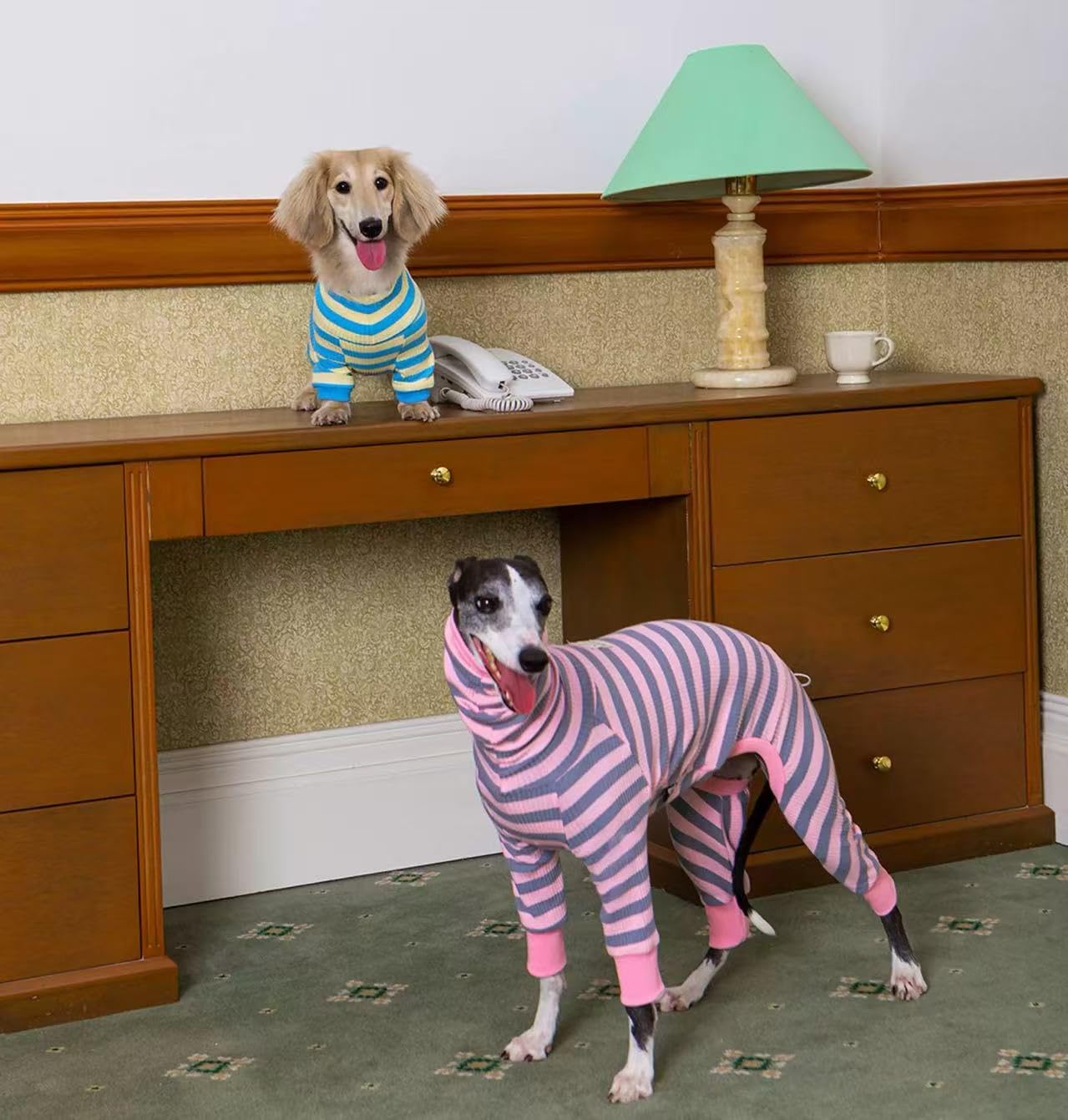 HowlyWoof Dachshund Dog Shirt, Thin Striped Base Layer Onesie for Wiener Dogs, Lightweight All-Season Wear. The Dachshund Zone