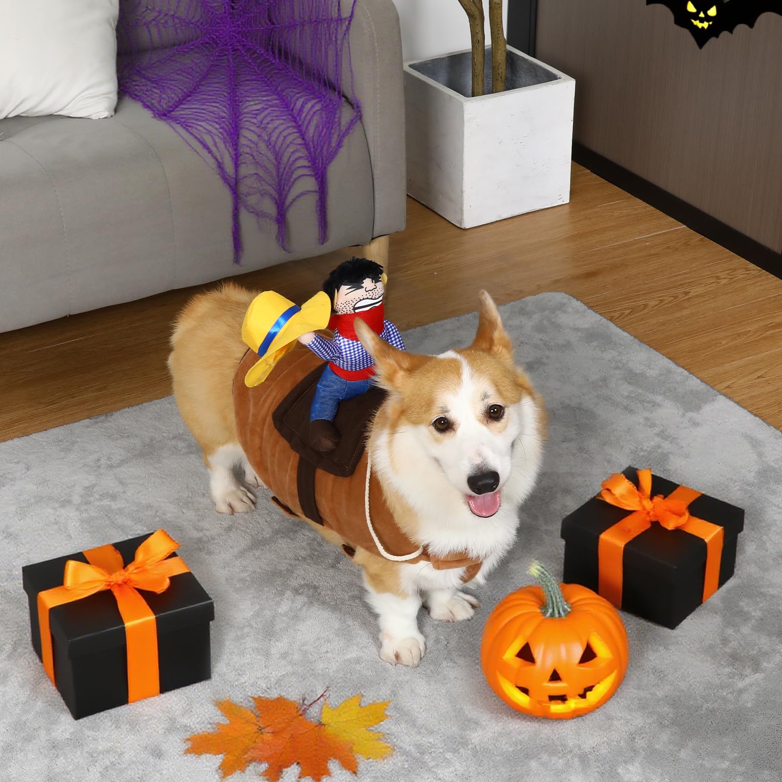 T2Y Cowboy Rider Dog Costume - Halloween Dachshund【M】 The Dachshund Zone