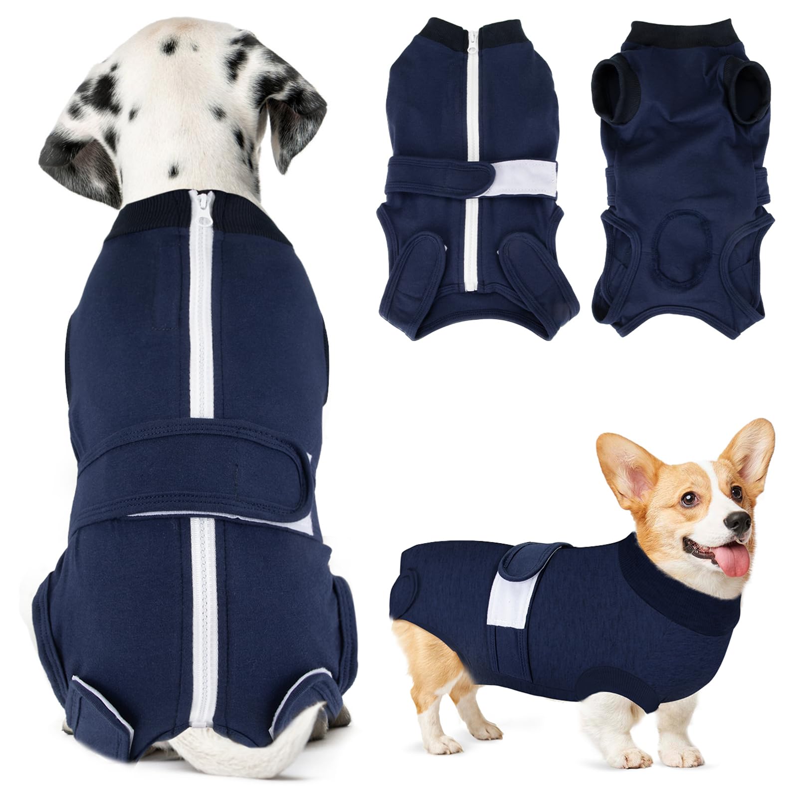 Dog Surgery Recovery Suit - Zipper On Dog Onesies The Dachshund Zone