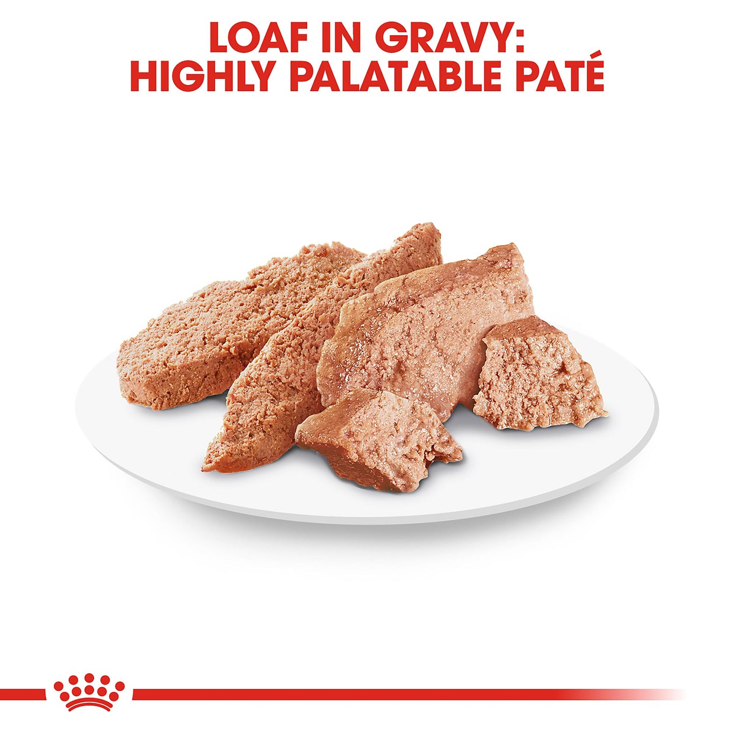 Royal Canin Breed Health Adult Loaf in Sauce The Dachshund Zone