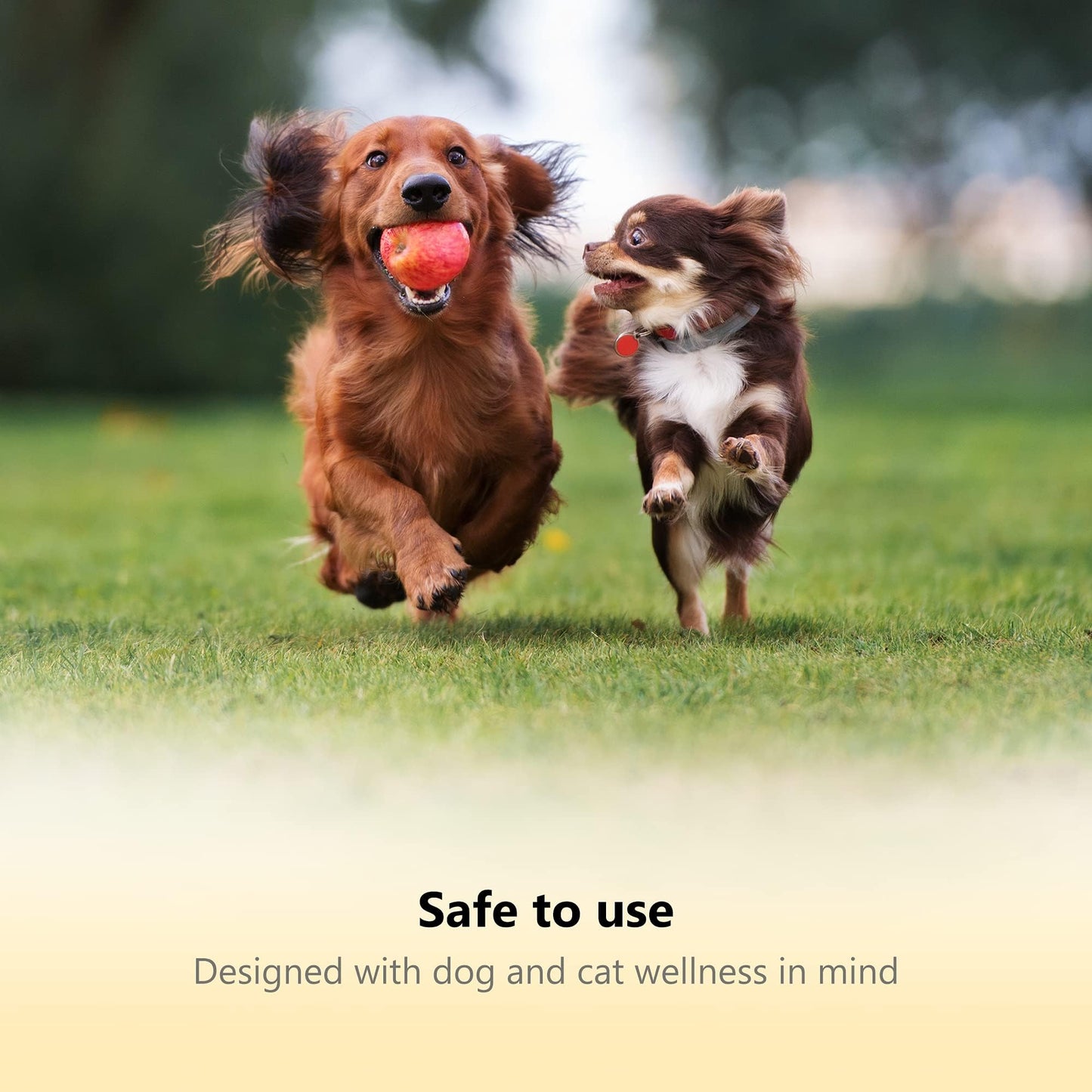 Thunderpaws LED Dog NailClippers with Light, Trimmers with Protective Guard The Dachshund Zone