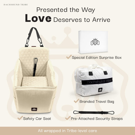 Dachshund Tribe Dog Car Seat for Small Dogs The Dachshund Zone